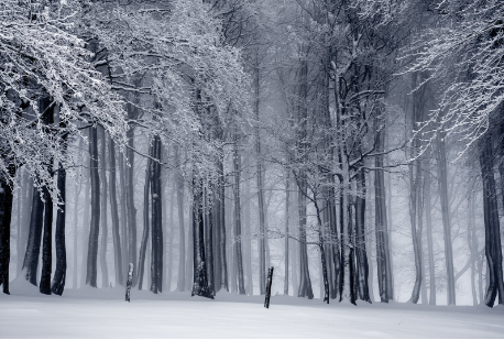 会计面试怎么准备？会计面试怎么准备什么